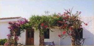 Cortijo La Molina (5)